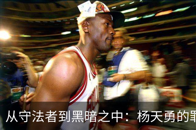 从守法者到黑暗之中：杨天勇的罪恶之路与司法缺陷